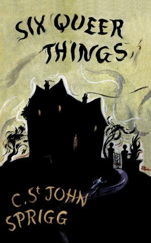 Cover of the book The Six Queer Things by John Blackburn