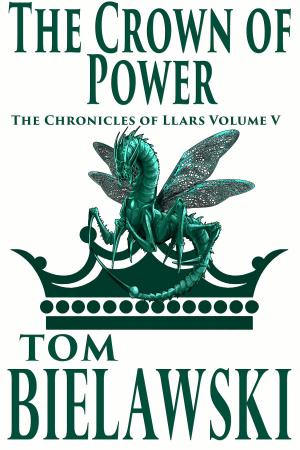 Cover of the book The Crown of Power by Jonathan J Snyder