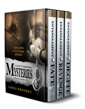 bigCover of the book Elliott's Register Mysteries - Box Set by 