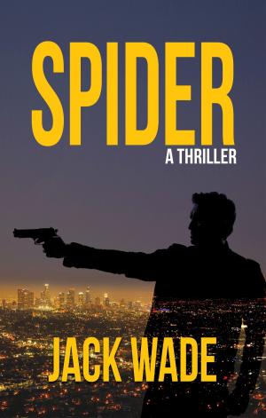 Cover of the book Spider by Philip Craig Robotham