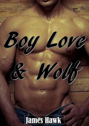 Book cover of Boy Love & Wolf (10 histoires)