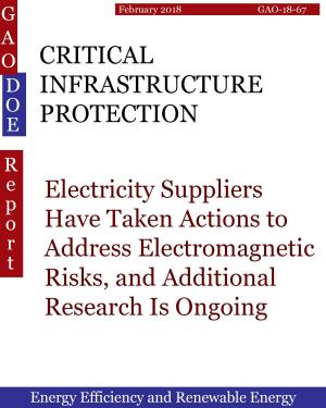 Book cover of CRITICAL INFRASTRUCTURE PROTECTION