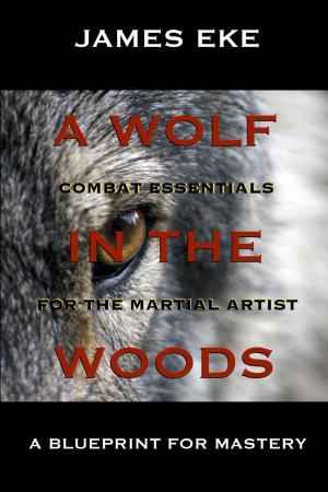 Cover of the book A Wolf In The Woods by Fred Medina