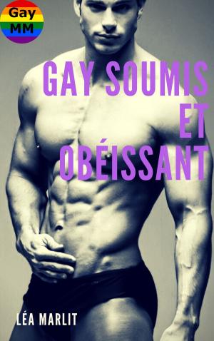 bigCover of the book Gay soumis et obéissant by 