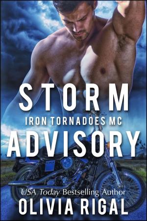 Cover of the book Storm Advisory by Angela Quarles