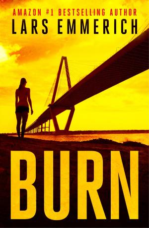 Cover of the book Burn by Steven Goss