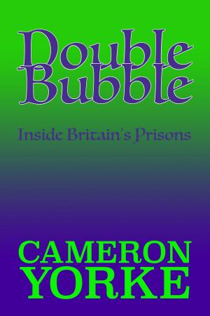Cover of the book Double Bubble by Katherine Ramsland