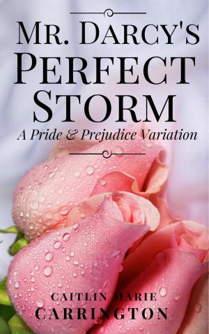 Cover of Mr. Darcy's Perfect Storm