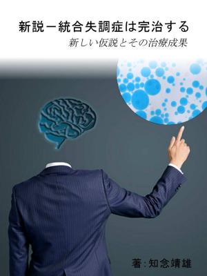 Cover of the book 新説－統合失調症は完治する by Tim Madigan