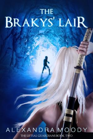 Cover of The Brakys' Lair