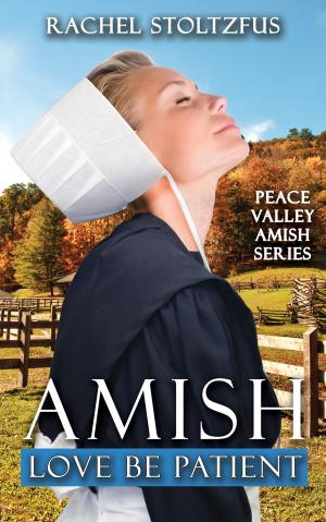 Book cover of Amish Love Be Patient