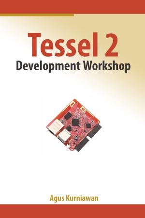 Cover of Tessel 2 Development Workshop
