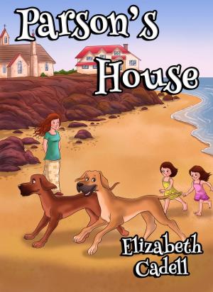 bigCover of the book Parson's House by 