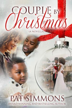 Cover of the book Couple for Christmas by Deena Remiel