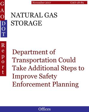 Cover of the book NATURAL GAS STORAGE by Hugues Dumont