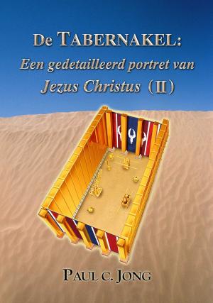 Book cover of De TABERNAKEL : Een gedetailleerd portret van Jezus Christus ( II )