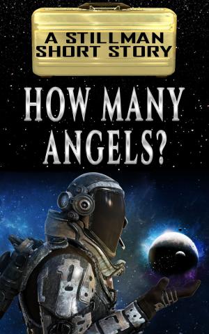 Cover of How Many Angels?