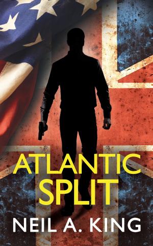 Cover of the book Atlantic Split by Maria Pellegrini