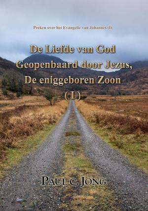 Book cover of Preken over het Evangelie van Johannes (I)