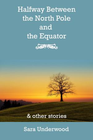 Book cover of Halfway Between the North Pole and the Equator, and other stories