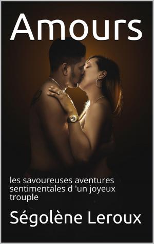 Cover of the book Amours by Valérie Mouillaflot