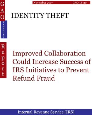 Cover of IDENTITY THEFT
