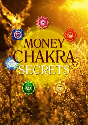 Cover of the book Money Chakra Secrets by David Jones