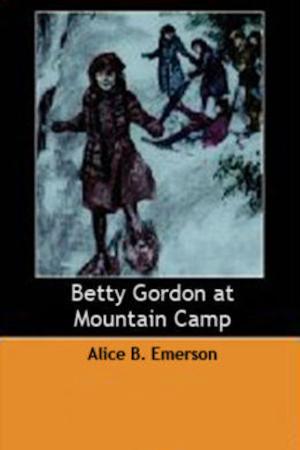 Cover of the book Betty Gordon at Mountain Camp by John M. Williams