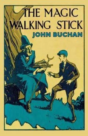 Cover of The Magic Walking Stick by John Buchan, eBooks