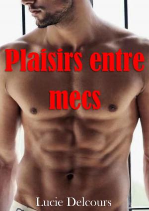 Book cover of Plaisirs entre mecs (5 histoires)