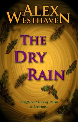 Cover of the book The Dry Rain by Robert T. Jeschonek, Ben Baldwin