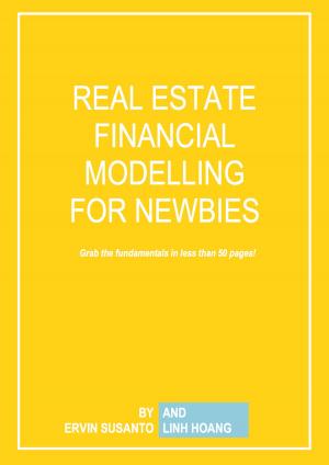 Cover of Real Estate Financial Modelling for Newbies