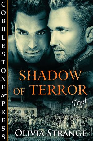 Cover of the book Shadow of Terror by Karen Kay