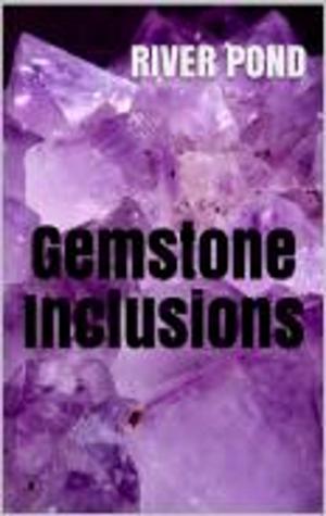 bigCover of the book Gemstone Inclusions by 
