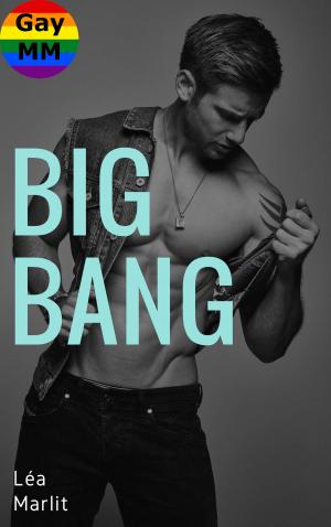 bigCover of the book Big Bang by 