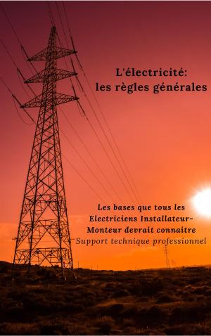 Cover of the book L'électricité: les règles générales by 
