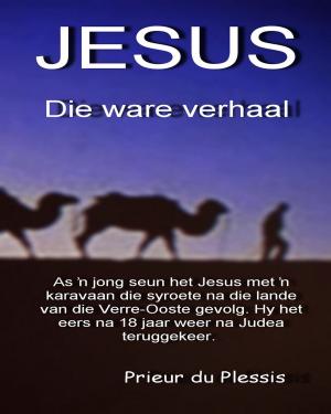 Cover of the book Jesus by Theresa Marguerite Hewitt