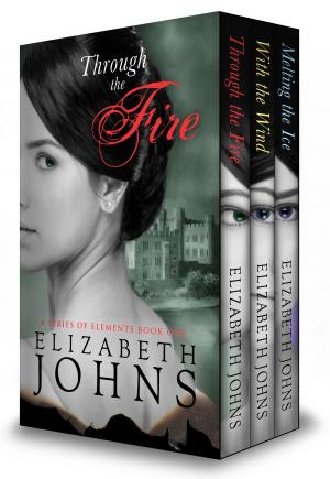Cover of the book Series of Elements Box Set by Kate Baray