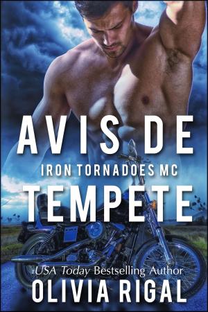Cover of the book Avis de tempête by Lisa Lang Blakeney