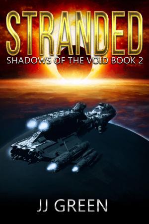 Cover of the book Stranded by C.L. Parker