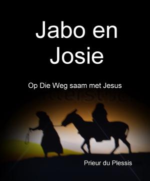 bigCover of the book Jabo en Josie by 