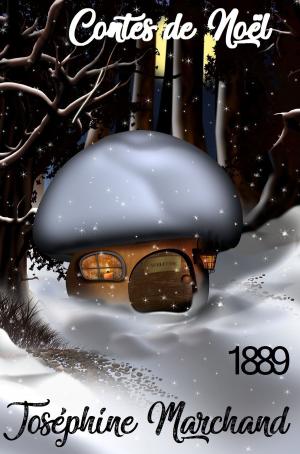 bigCover of the book Contes de Noël by 