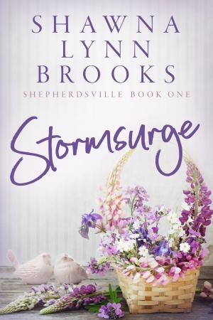 Cover of the book Stormsurge by Sophie Ranald