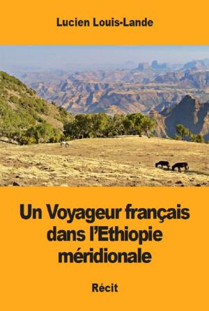 Cover of the book Un Voyageur français dans l’Ethiopie méridionale by Brian Williams