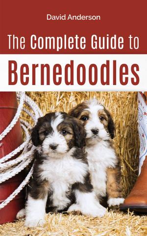 Book cover of The Complete Guide to Bernedoodles
