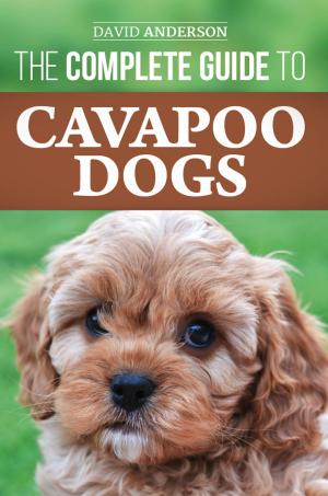 Book cover of The Complete Guide to Cavapoo Dogs