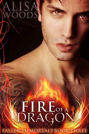 Cover of the book Fire of a Dragon by Vivika Widow