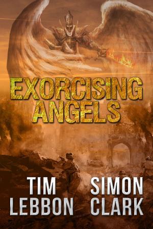 Cover of the book Exorcising Angels by Nicholas Vaughan