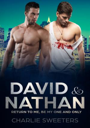 Cover of the book David & Nathan - Return to Me, Be My One And Only by Whitney Bishop