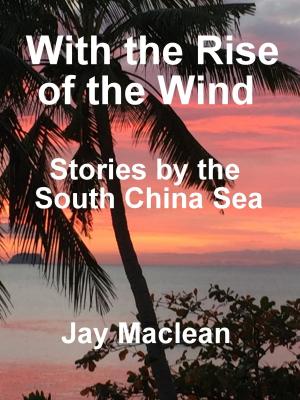 Cover of the book With the rise of the wind by Vanessa Wright